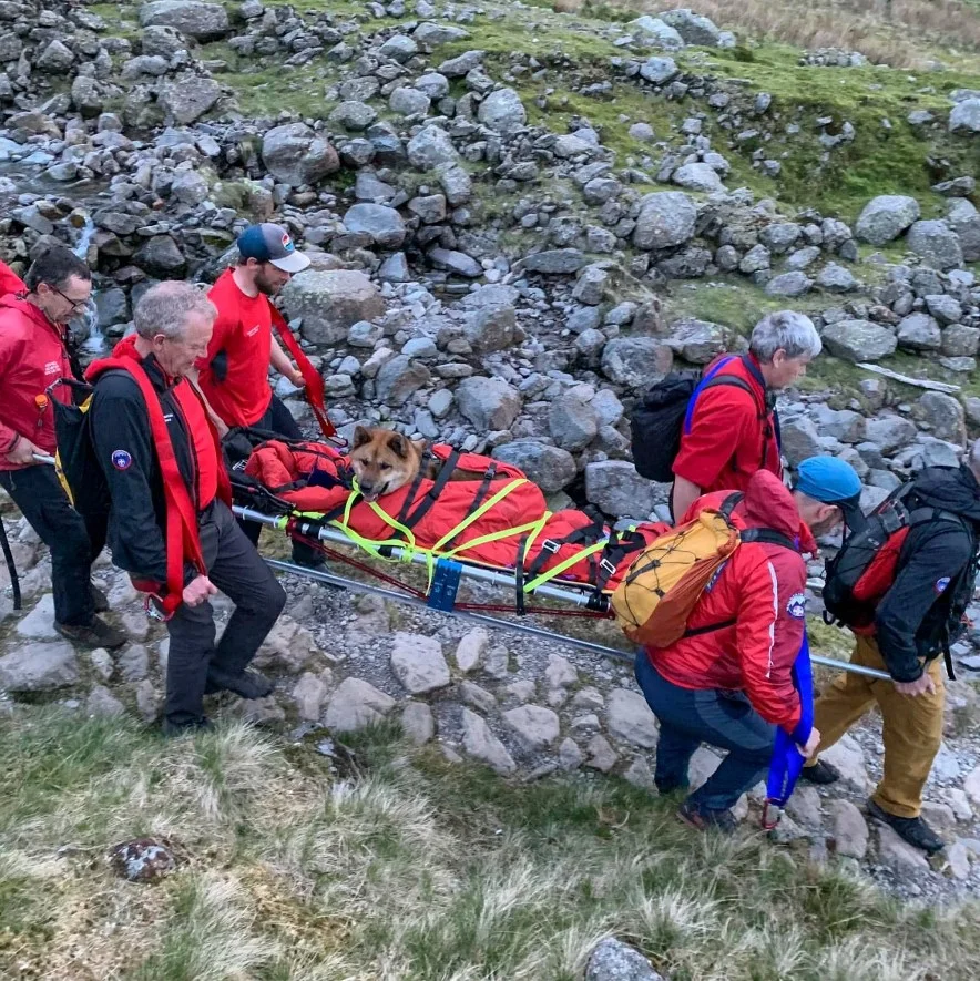 Annotation 2023 05 16 1616075