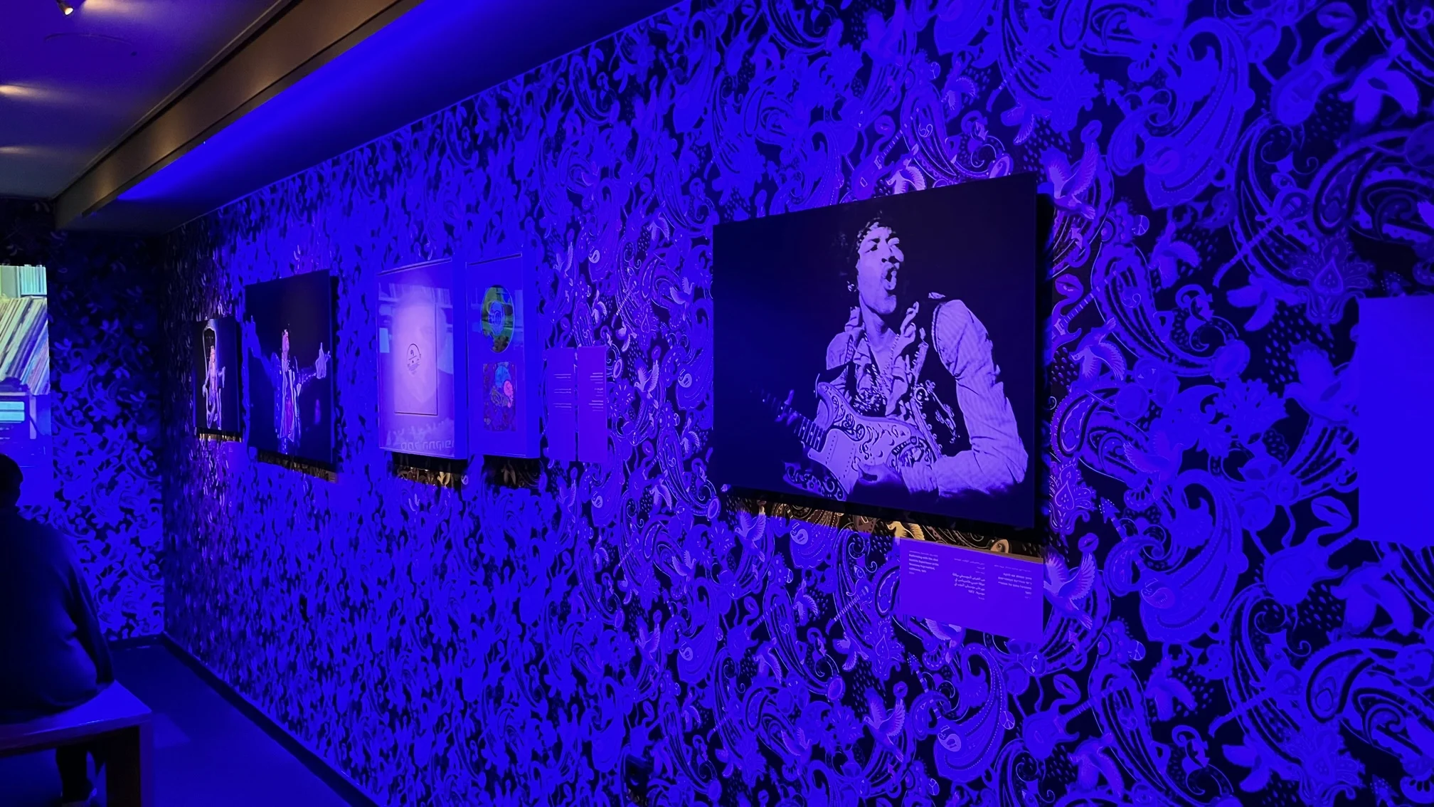 תערוכת הפייזלי