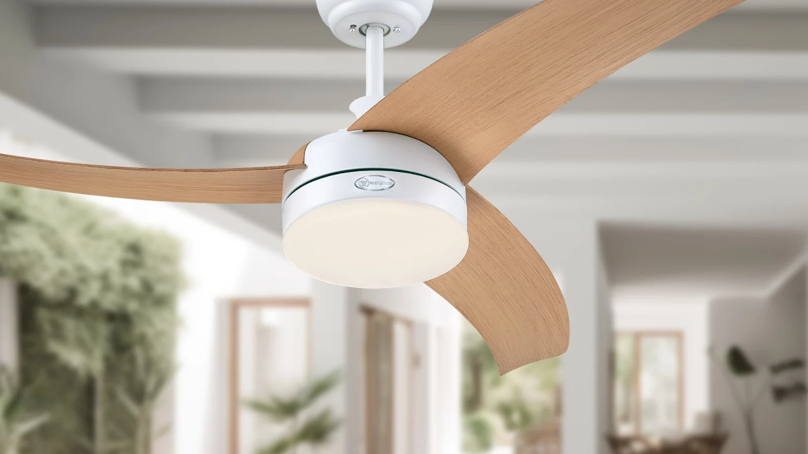 Whatsapp Image 2023 05 16 At 1