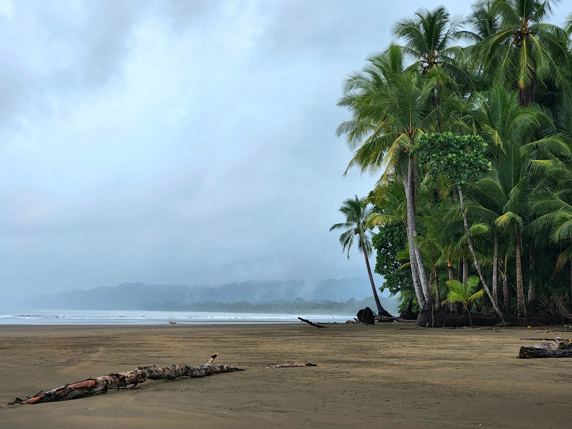 ג'ונגל נושק לים, פארק לאומי מרינו בלנה
