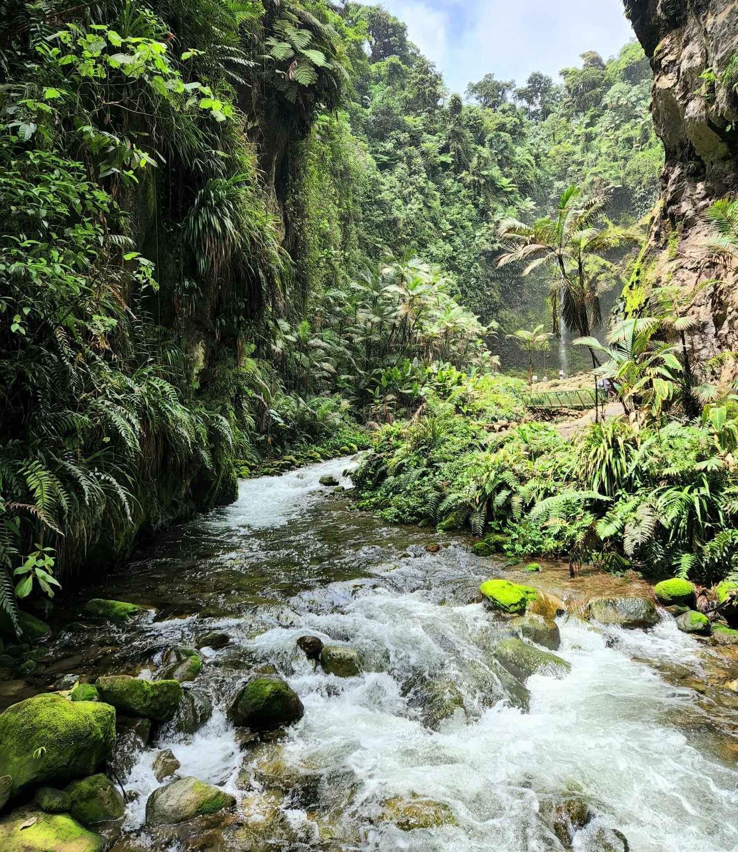 פארק היורה של קוסטה ריקה, באחוס דל טורו