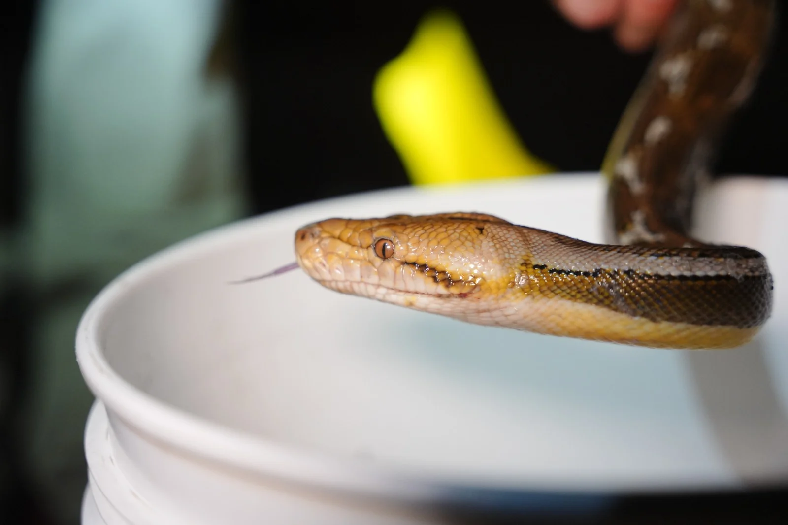 Whatsapp Image 2023 05 21 At 1