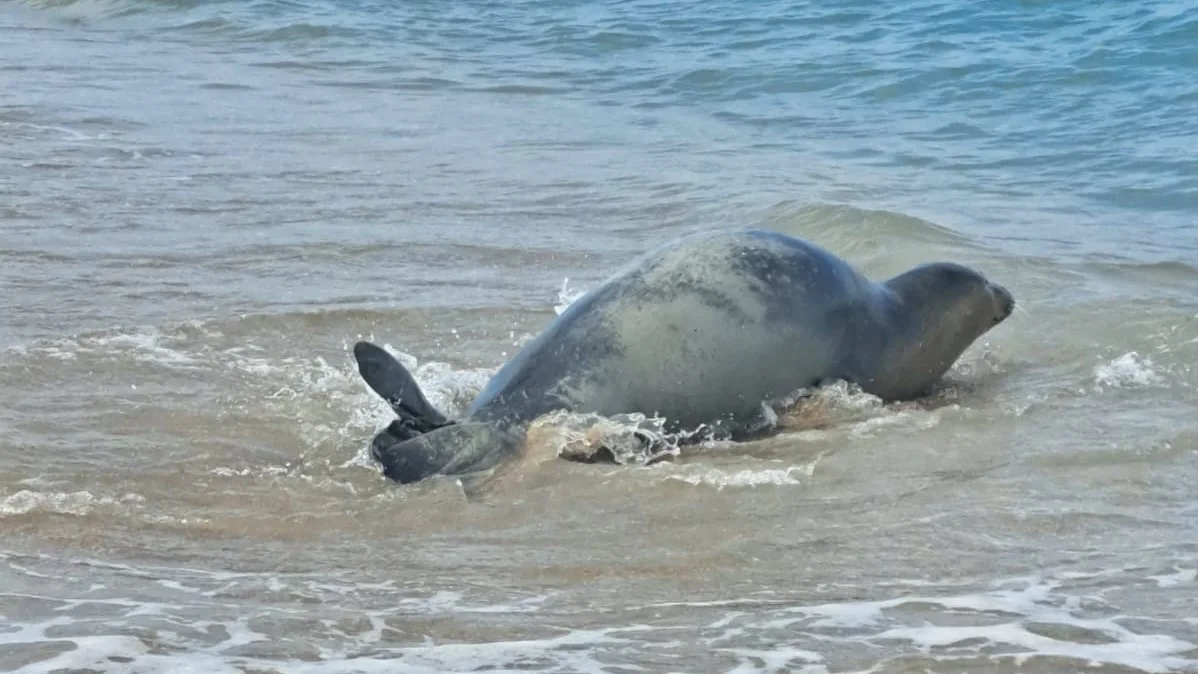 Whatsapp Image 2023 05 25 At 1