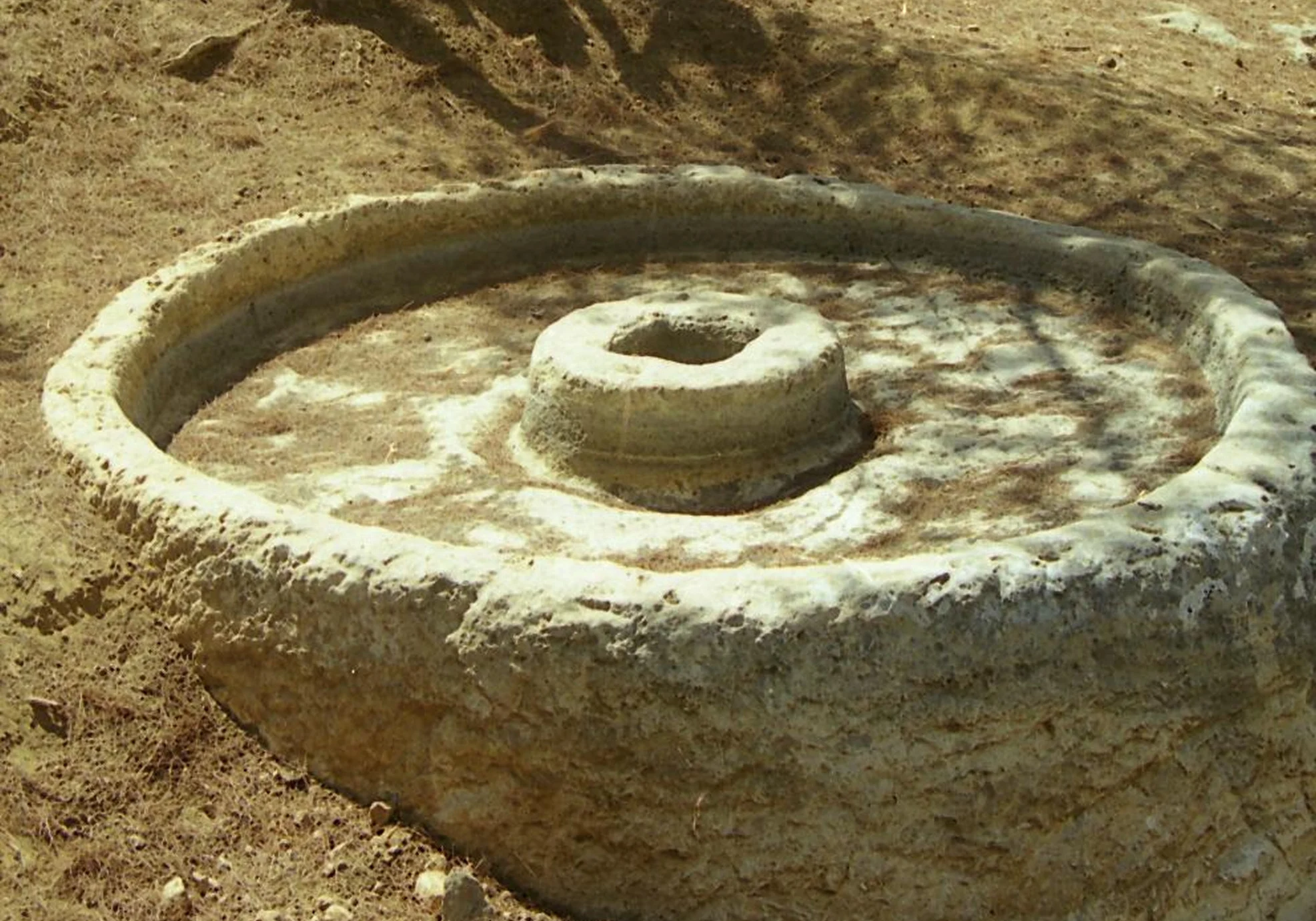 גת בשביל המתקנים ביער יתיר