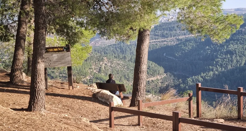 חוות הגִתות ביער עמינדב