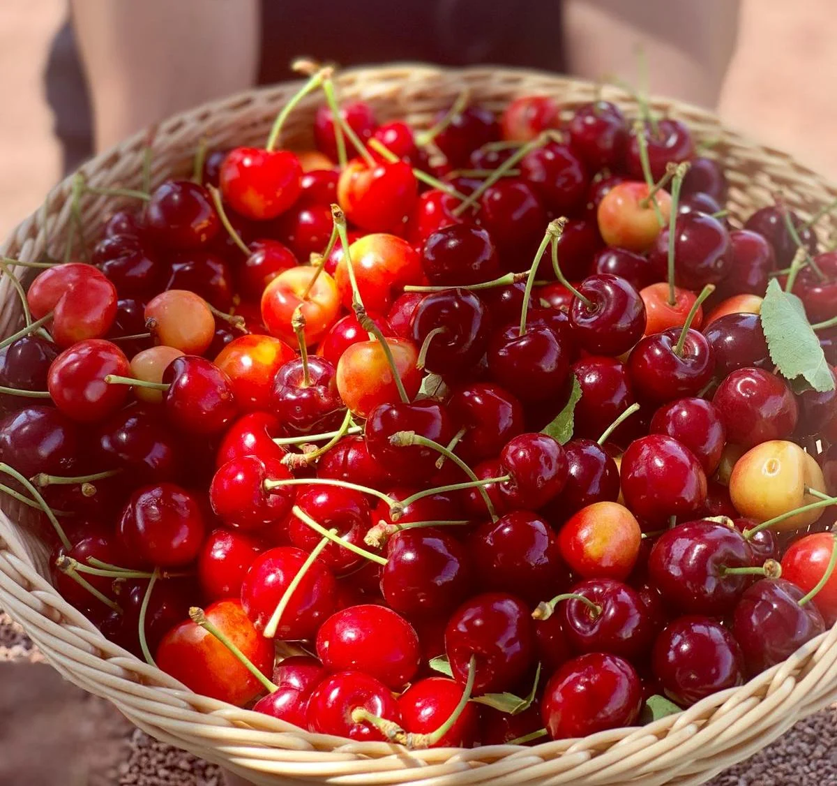 דובדבנים מהגולן