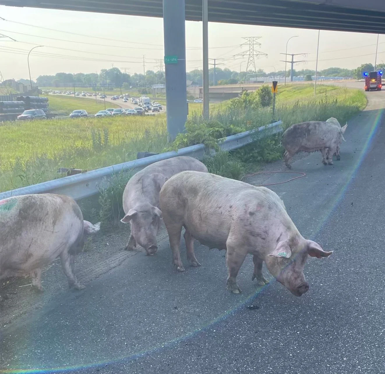 Whatsapp Image 2023 06 11 At 1