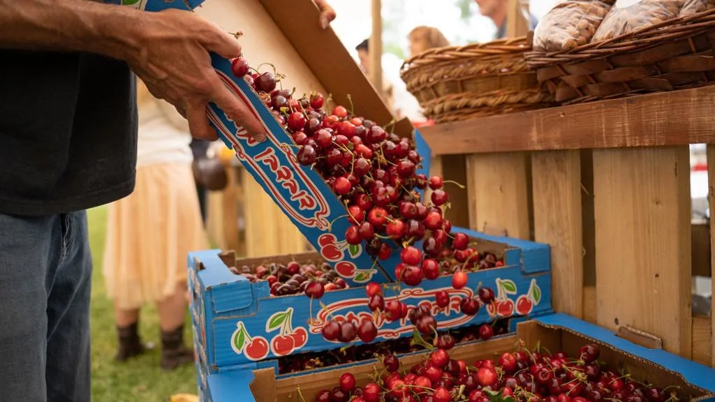 שוק תוצרת הארץ