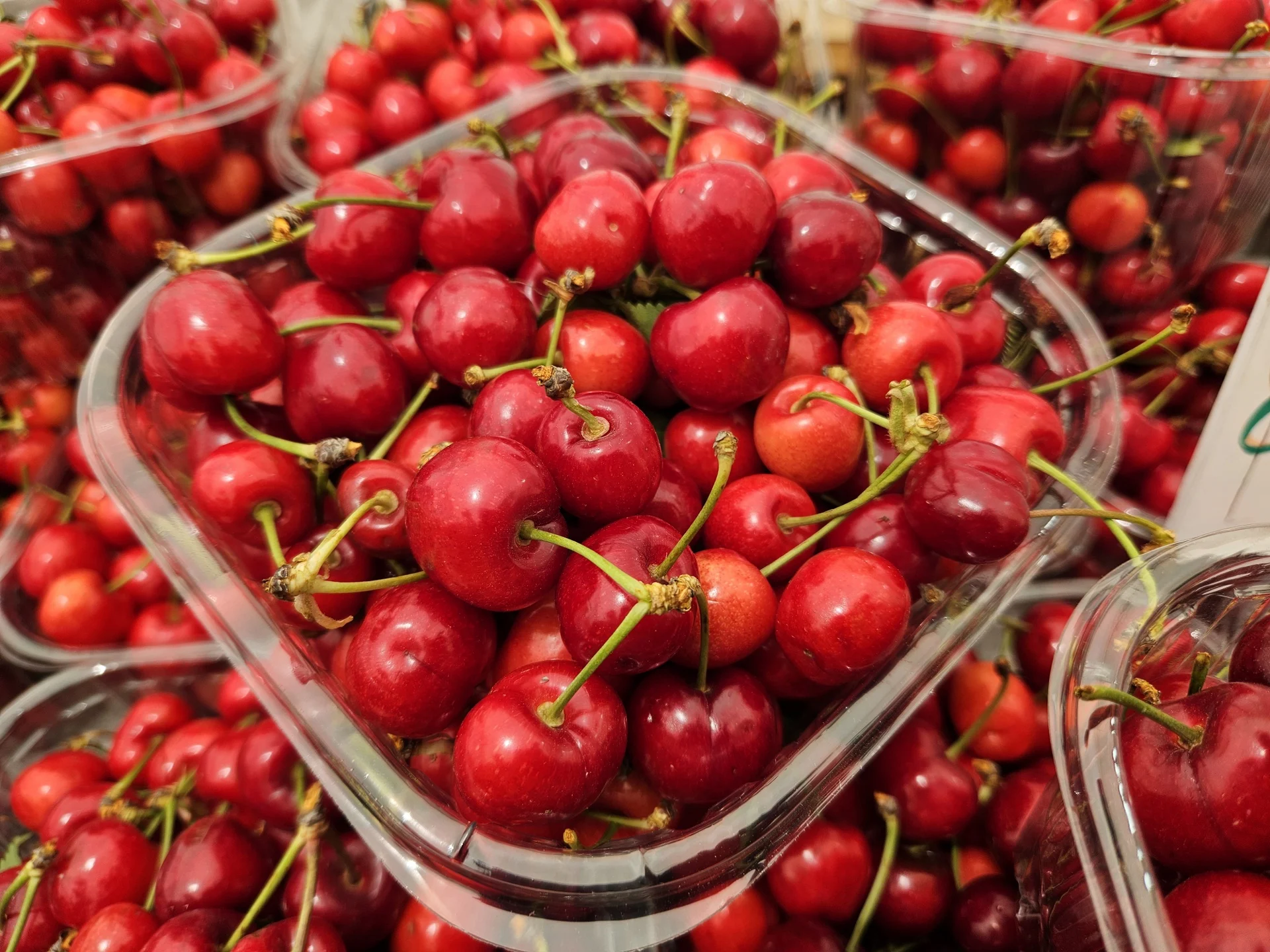 דובדבנים שהגיעו מהגולן