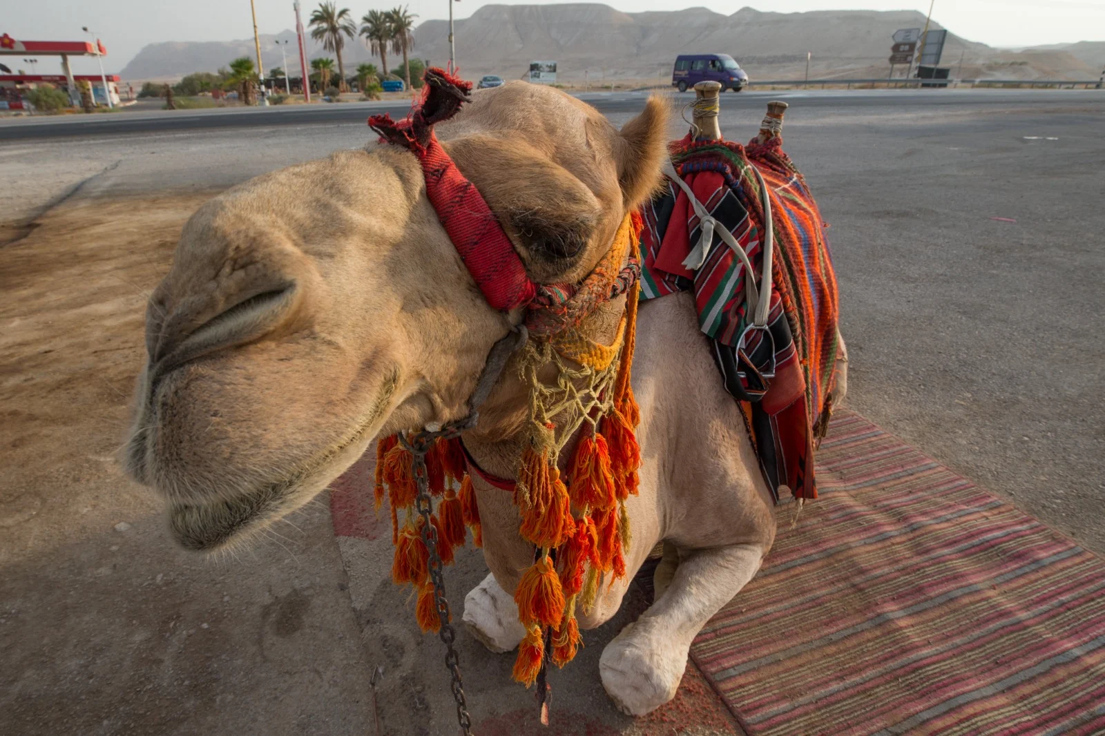 Whatsapp Image 2023 06 16 At 1