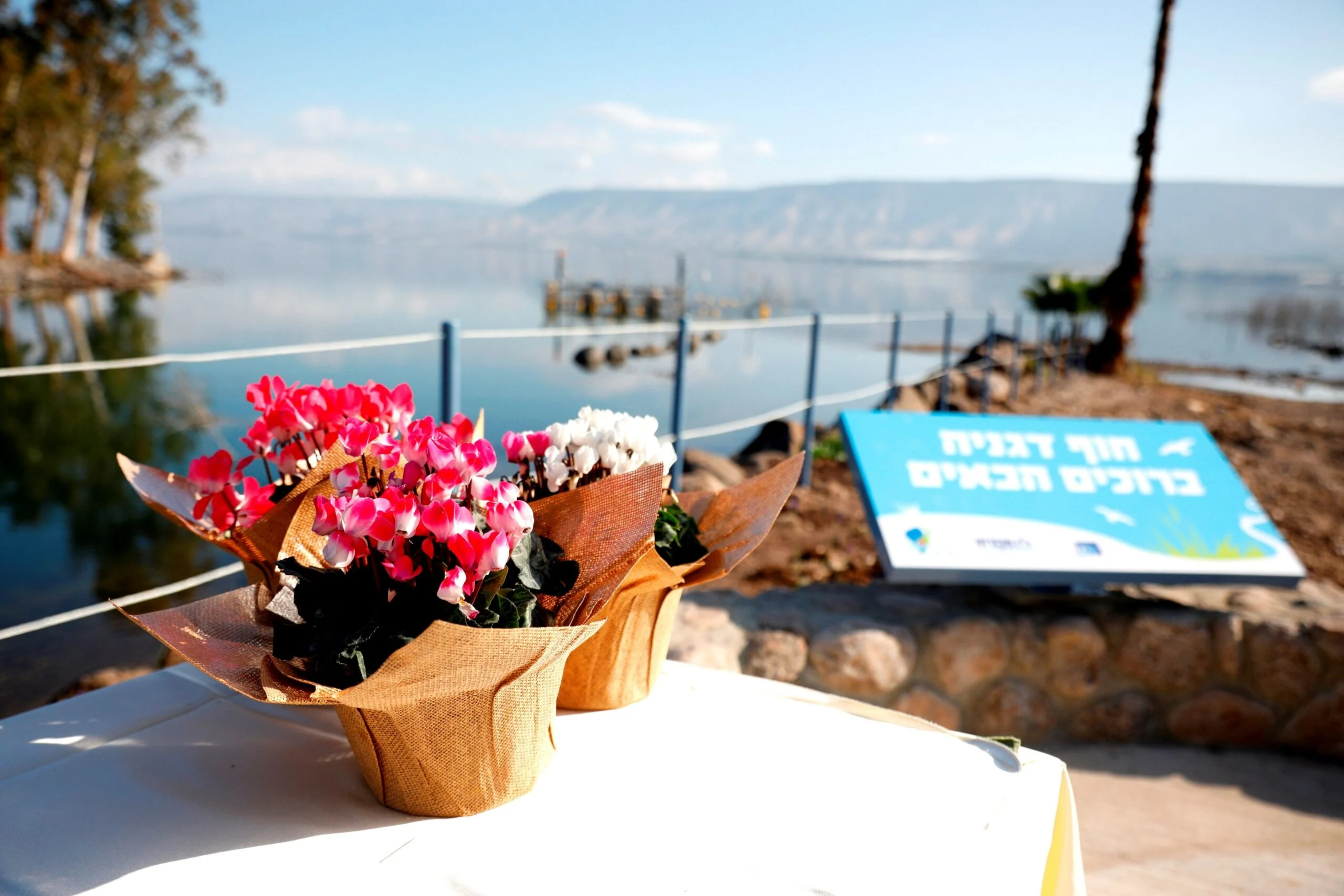 חוף דגניה המחודש