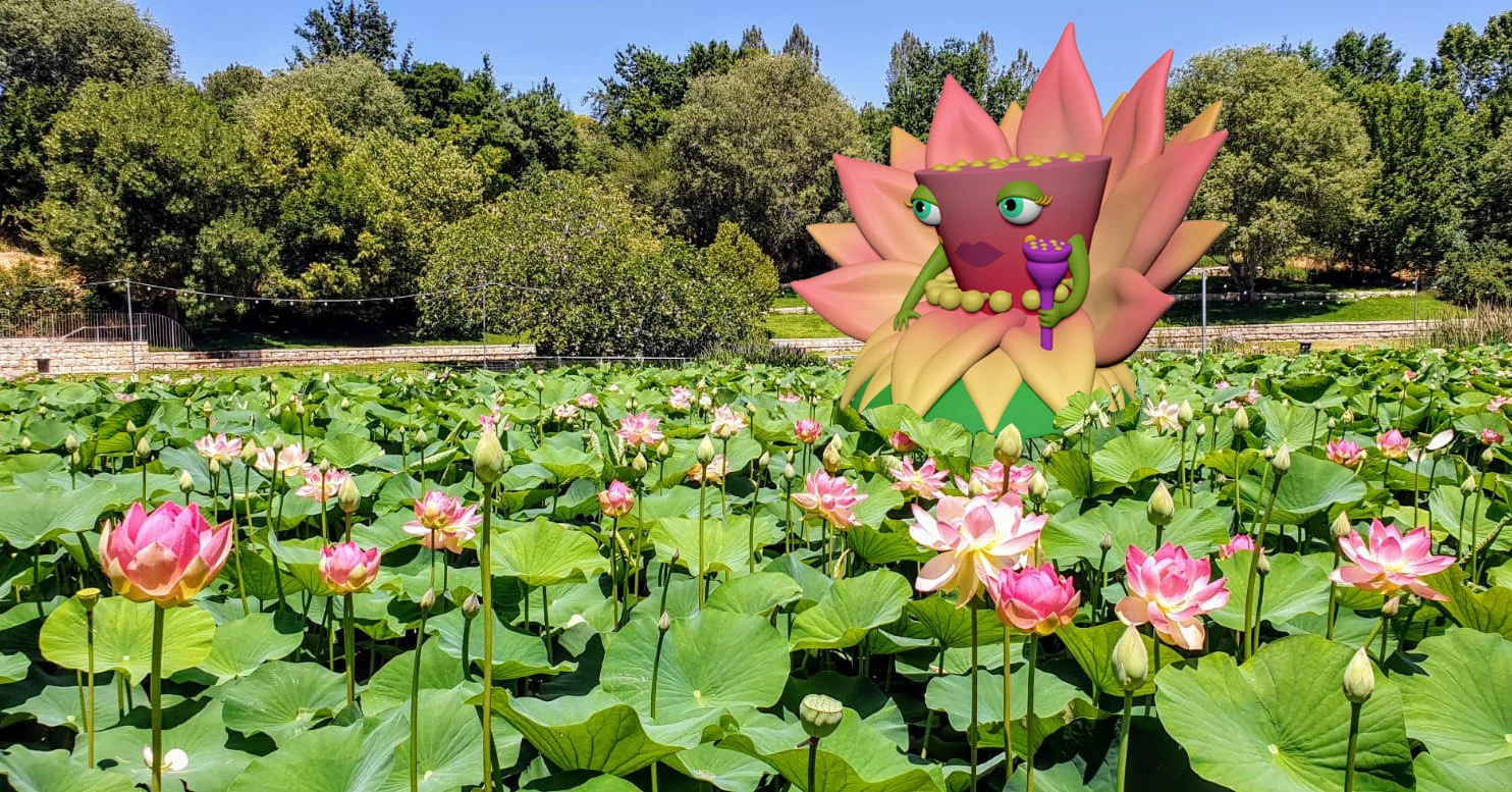 בוטניפלצת בגן הבוטני בירושלים