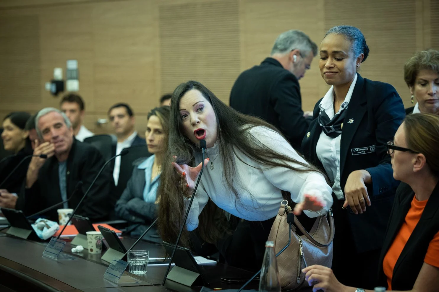 ח''כ טלי גוטליב בוועדת החוקה