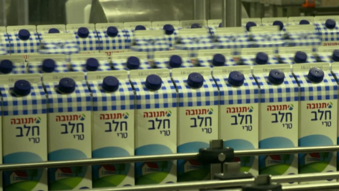 חלב