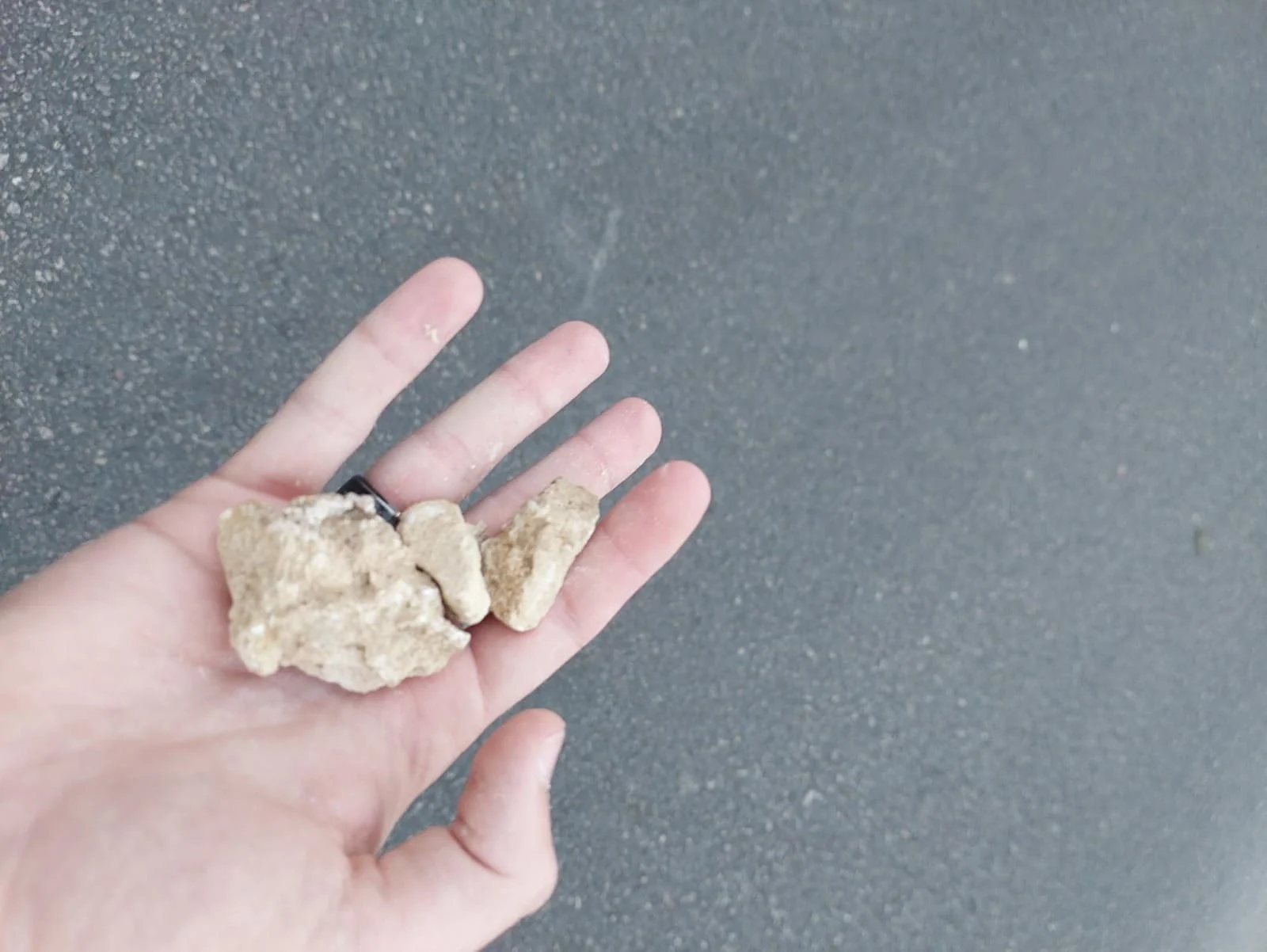 Whatsapp Image 2023 07 02 At 1