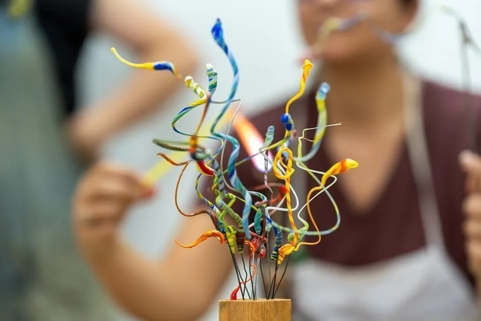 סטודיו מנדרינה