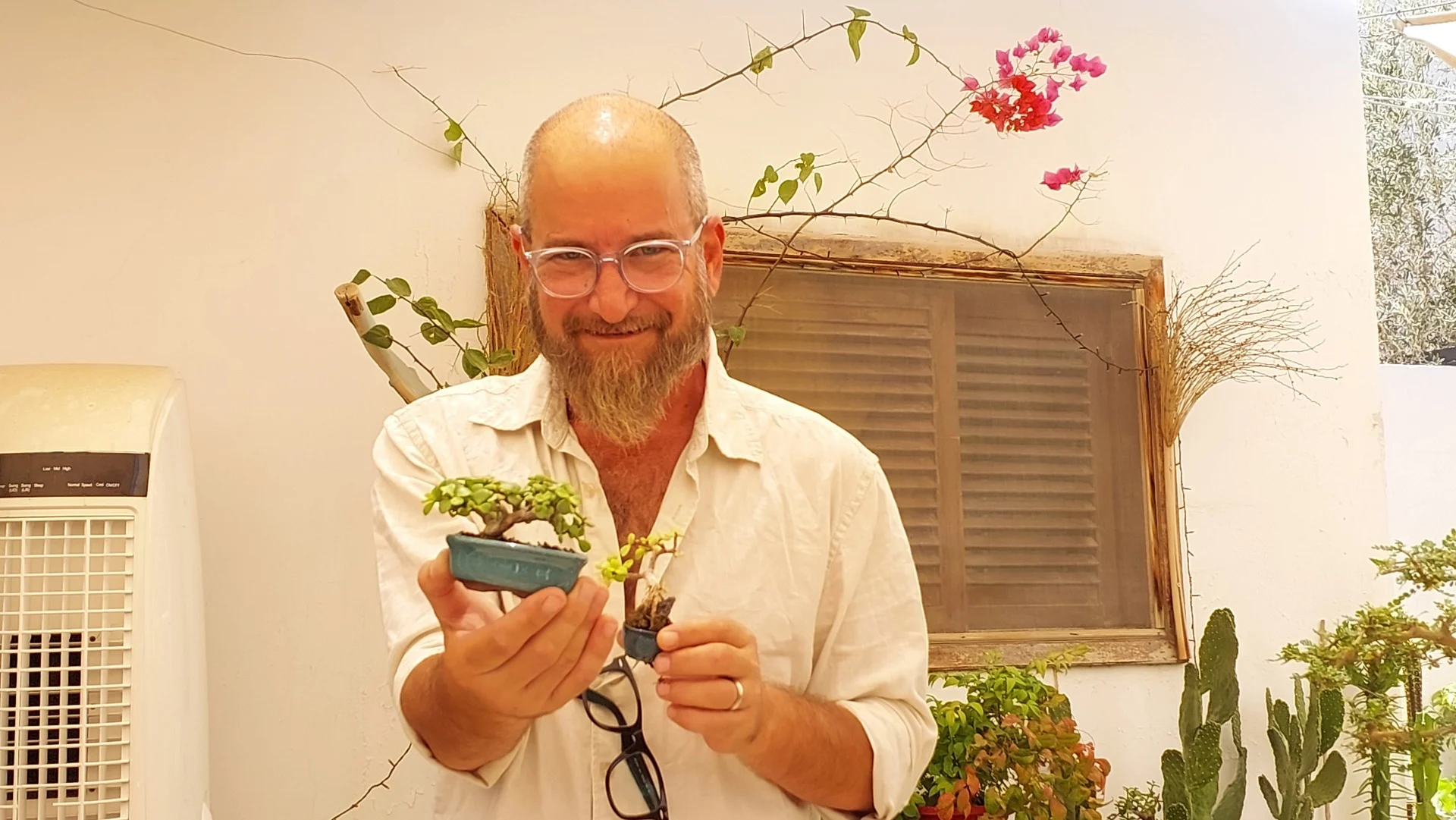 אדם רקטוב יוספה