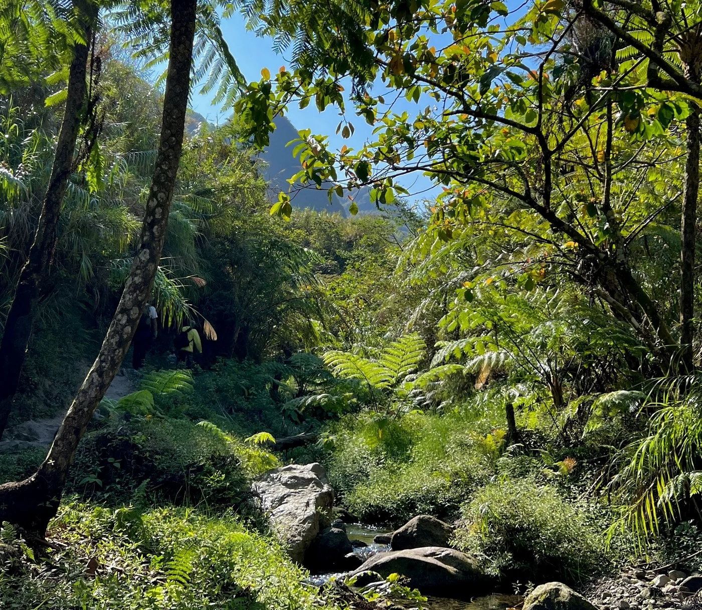 בדרך להר Pinatubu