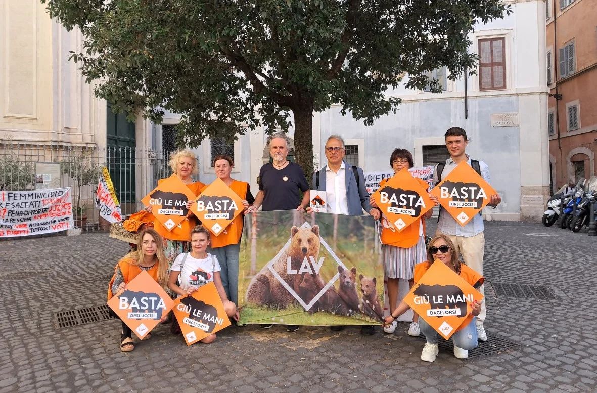 Screenshot 2023 07 15 122850