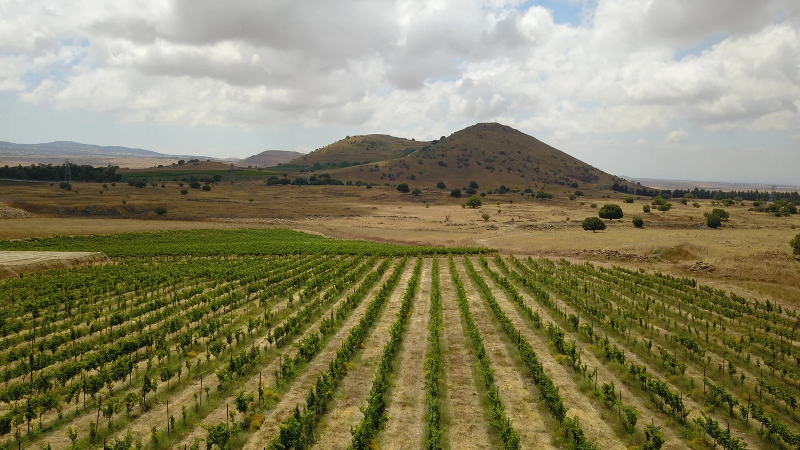 הנוף ממתחם הגלמפינג באורטל
