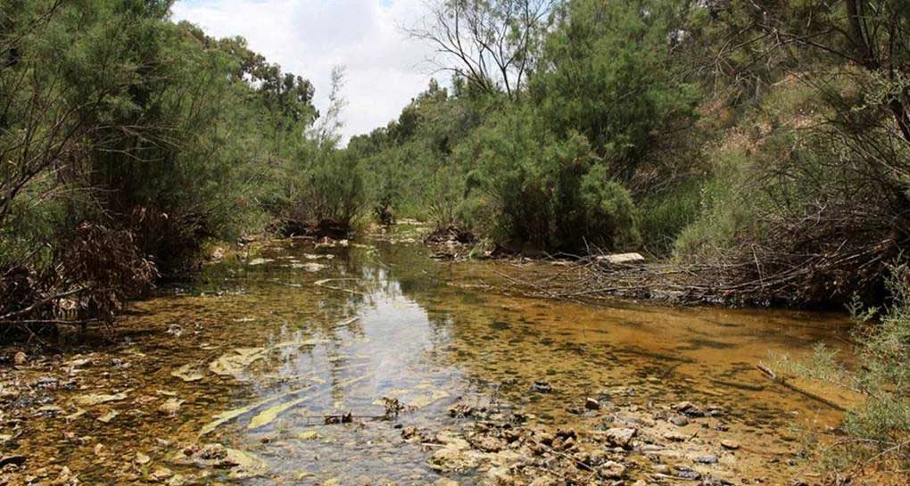 פארק שרשרת נחל גרר