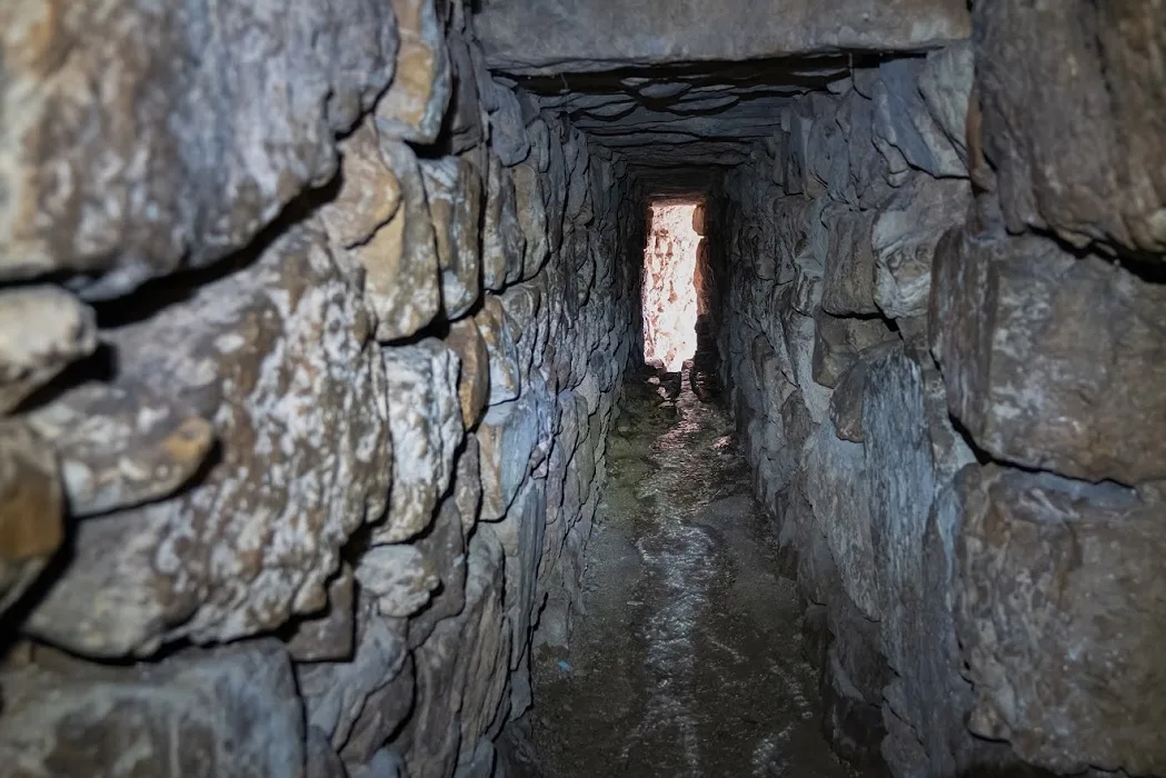 הנקבה של עין ביכורה