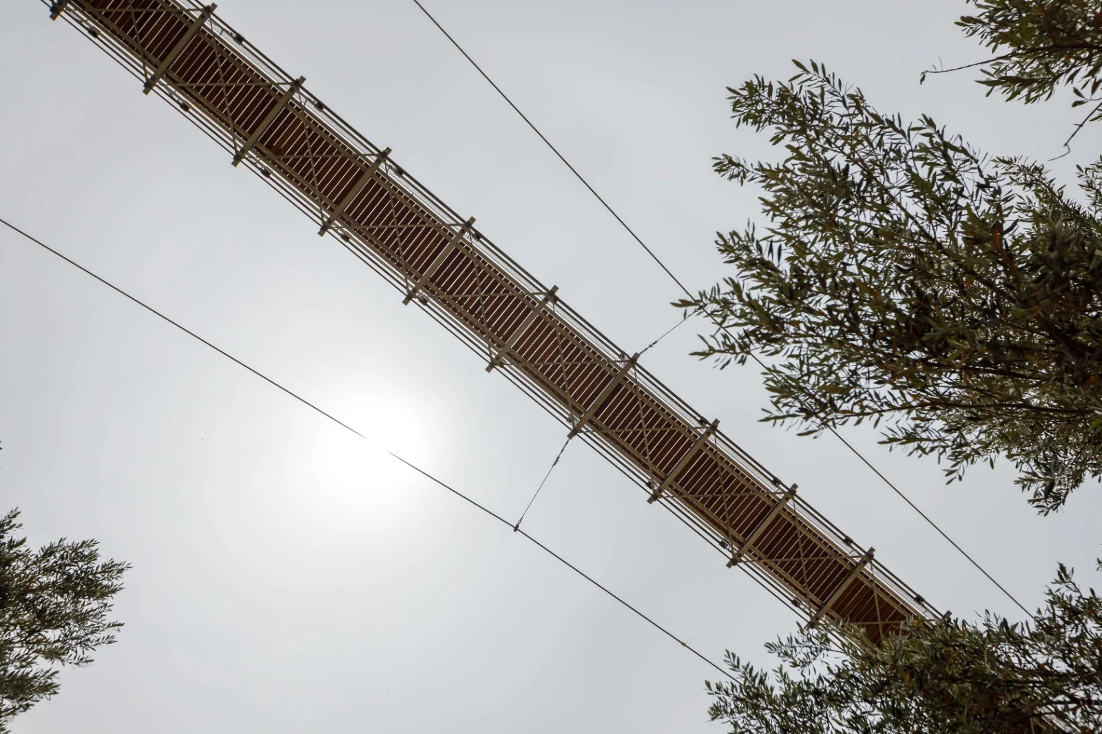 Whatsapp Image 2023 07 30 At 1