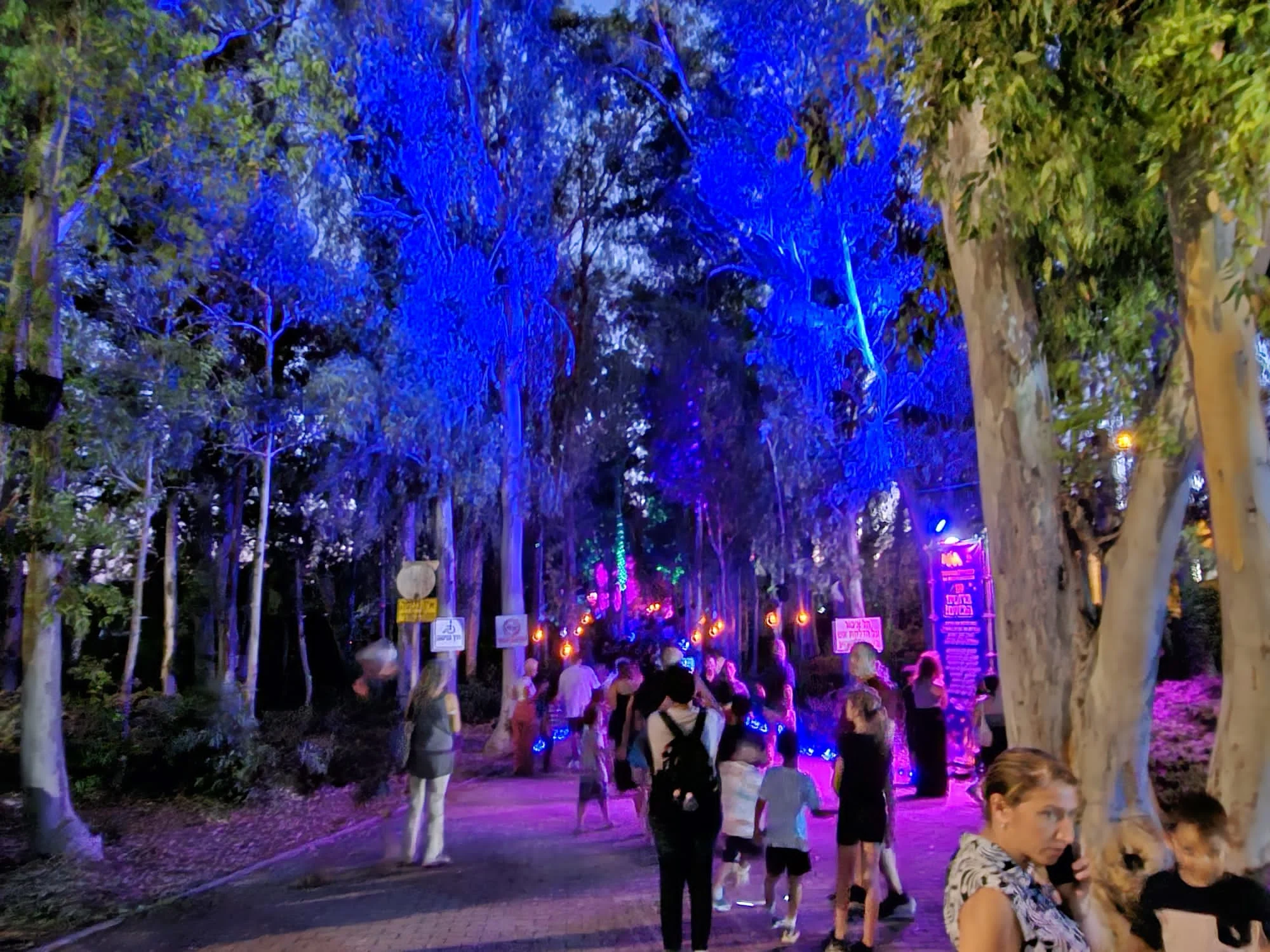 פסטיבל החשמל