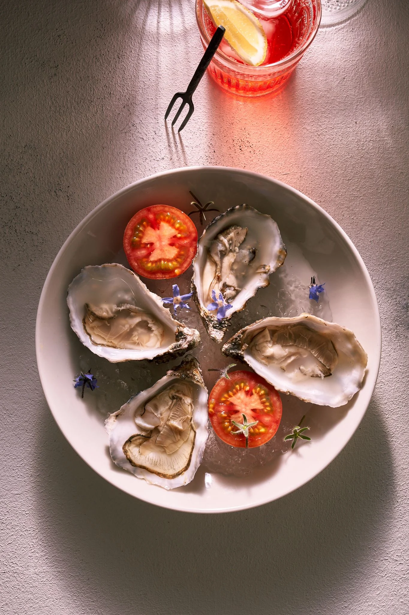 אויסטר, שיינע