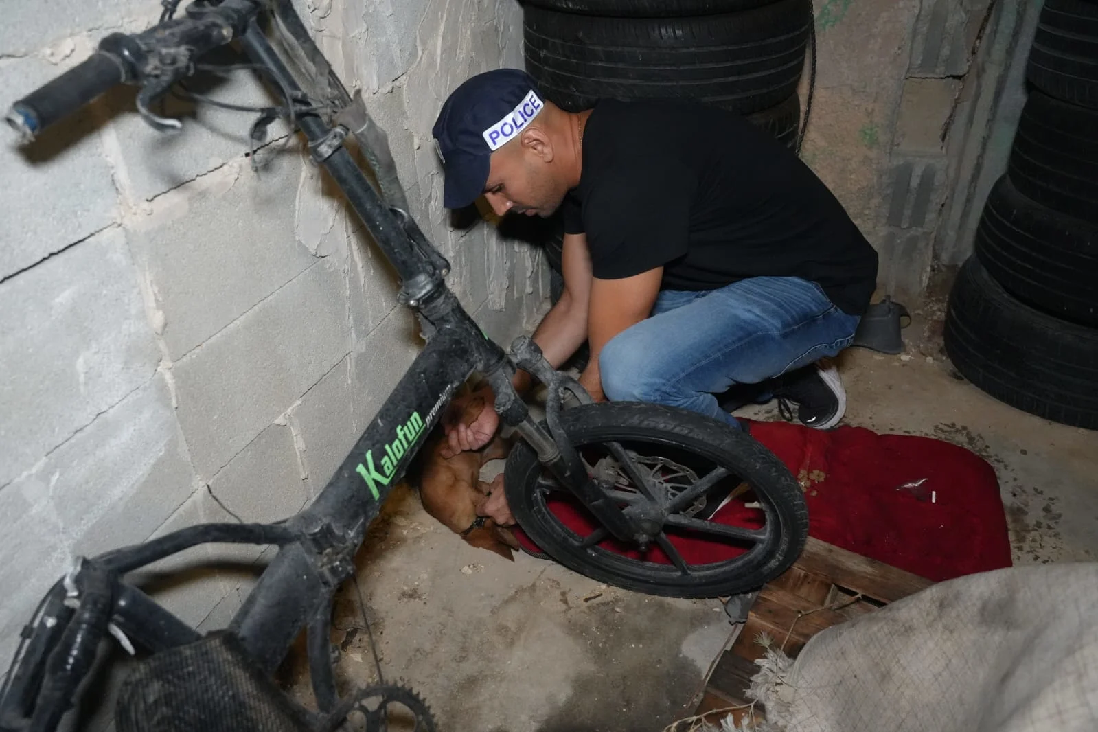 שוטר מפנה כלב שנמצא בדירתו של החשוד