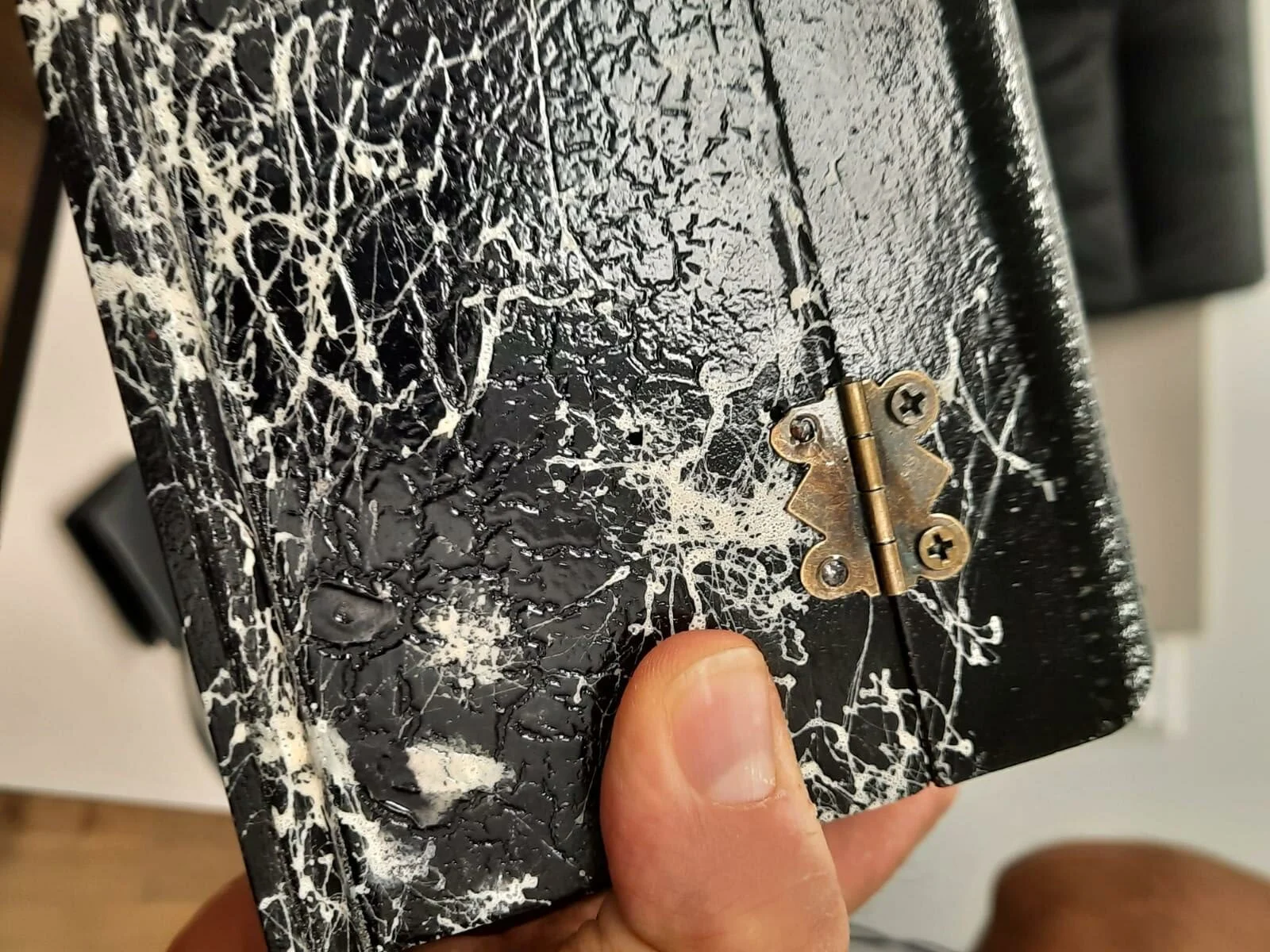 האמצעים שקיבל האיראני לטובת מימוש משימותיו בישראל