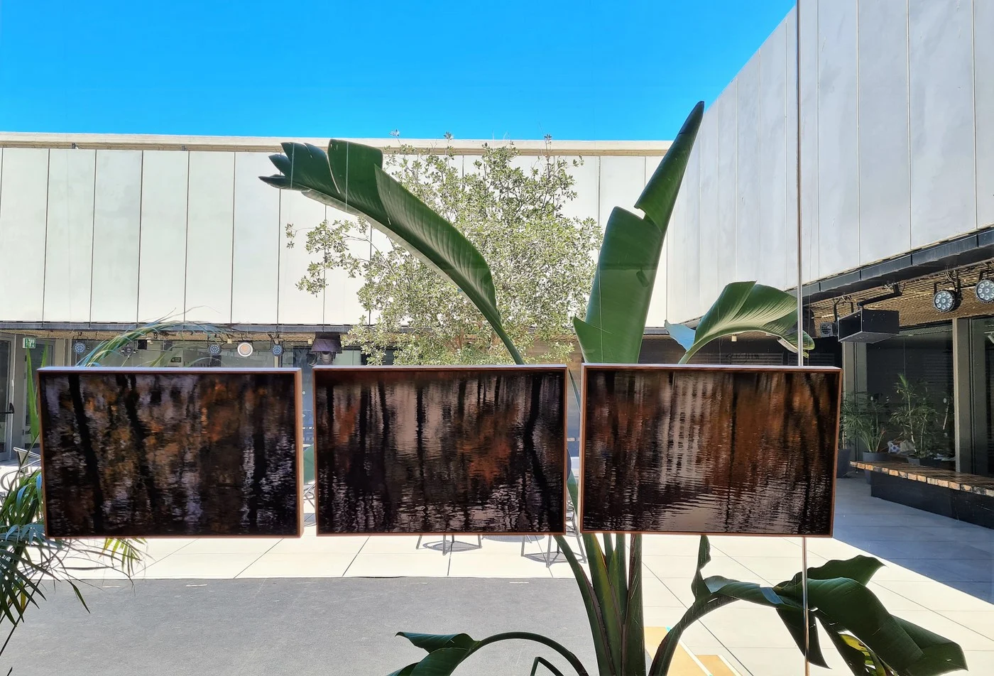 מרכז תאו הרצליה