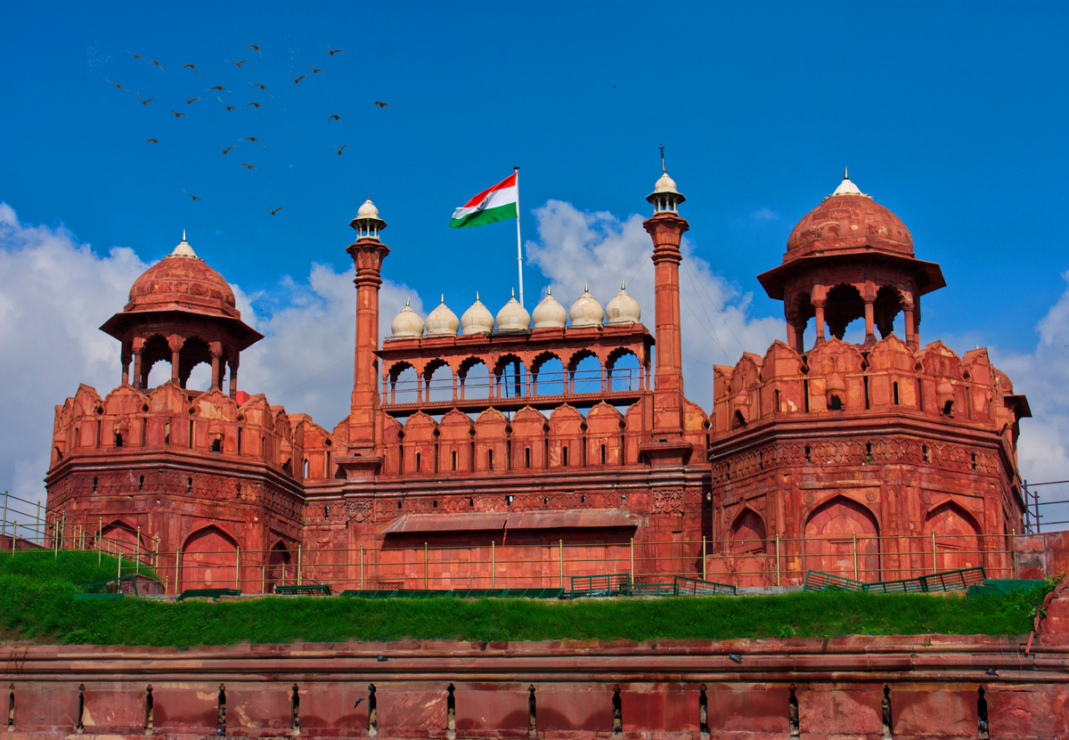 Birds,flying,over,red,fort,in,delhi