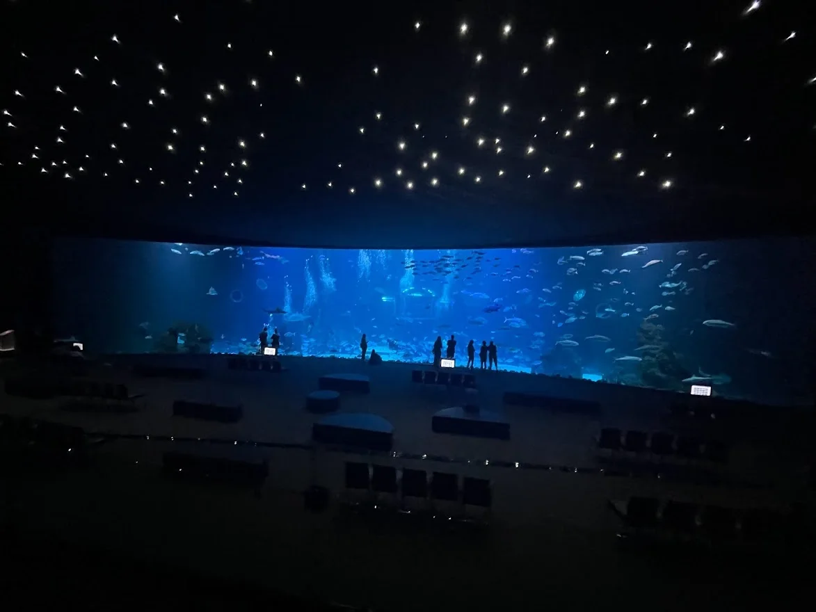 האקווריום של גראן קנריה