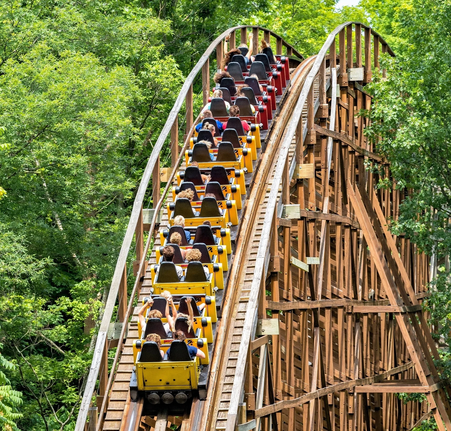 The,beast,at,kings,island