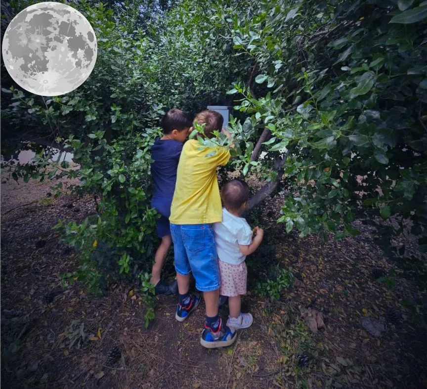 חוויה בעמק – משחקי חיפוש בקיבוץ מזרע