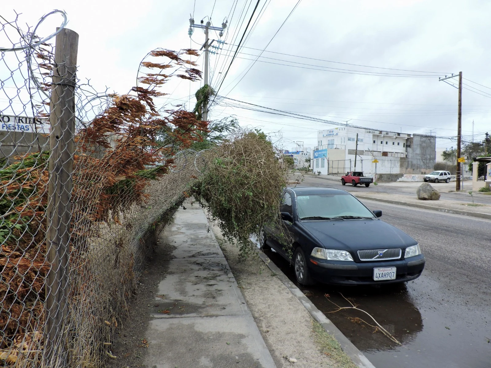 נזקי הסופה בחצי האי באחה קליפורניה במקסיקו הילארי