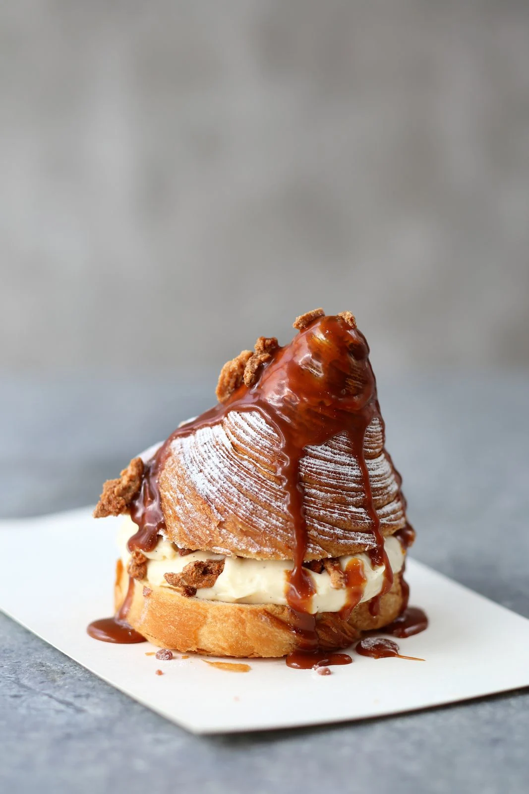 פופ אפ דנון