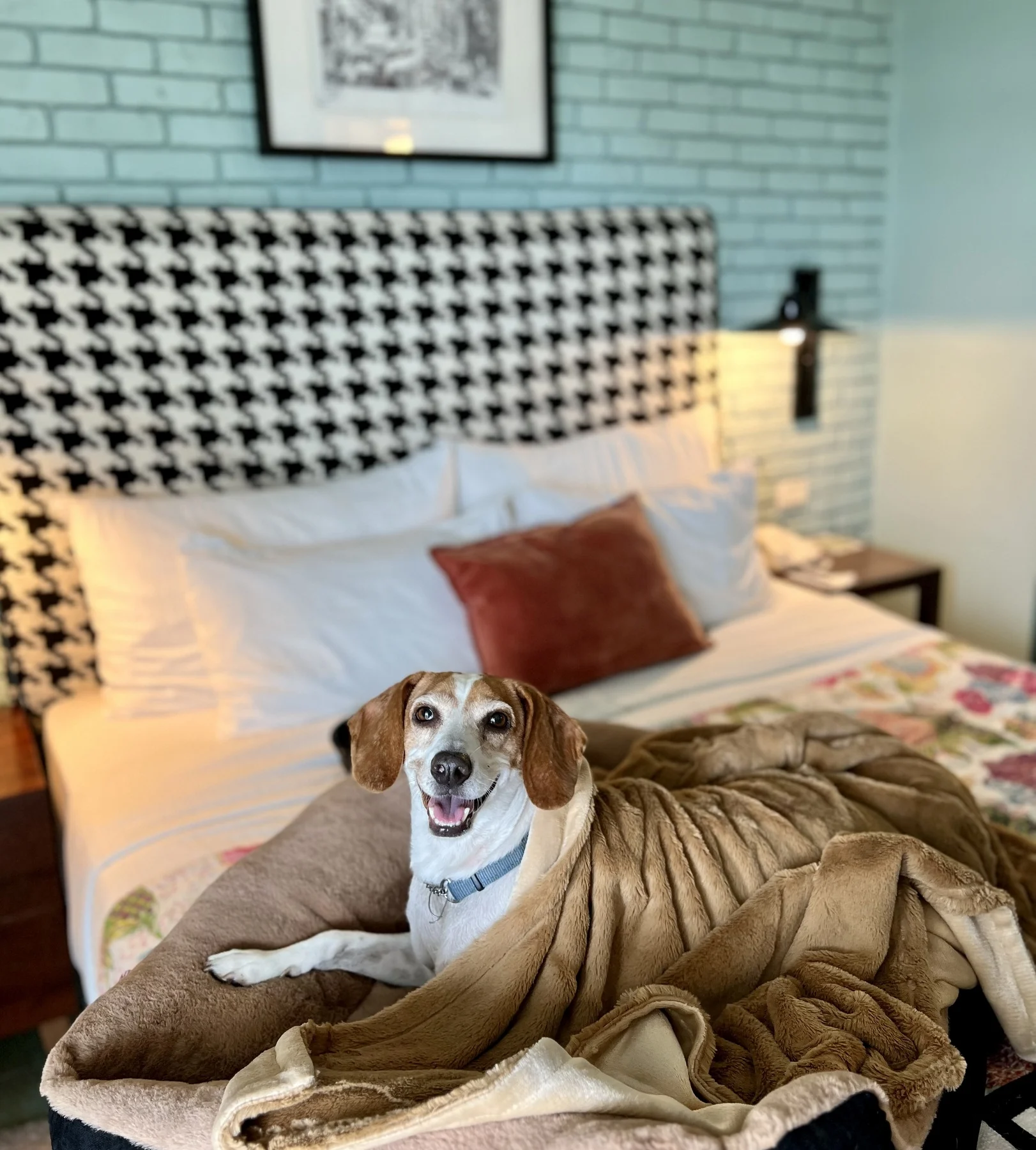 מלונות אטלס