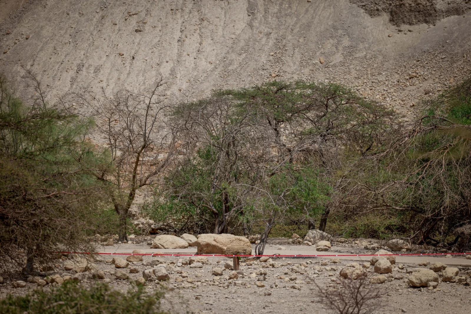 זירת האסון בנחל דוד