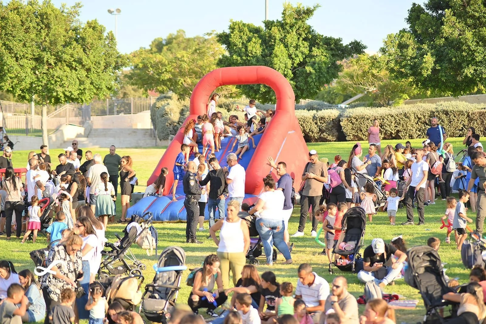 תחרות אילוף הכלבים