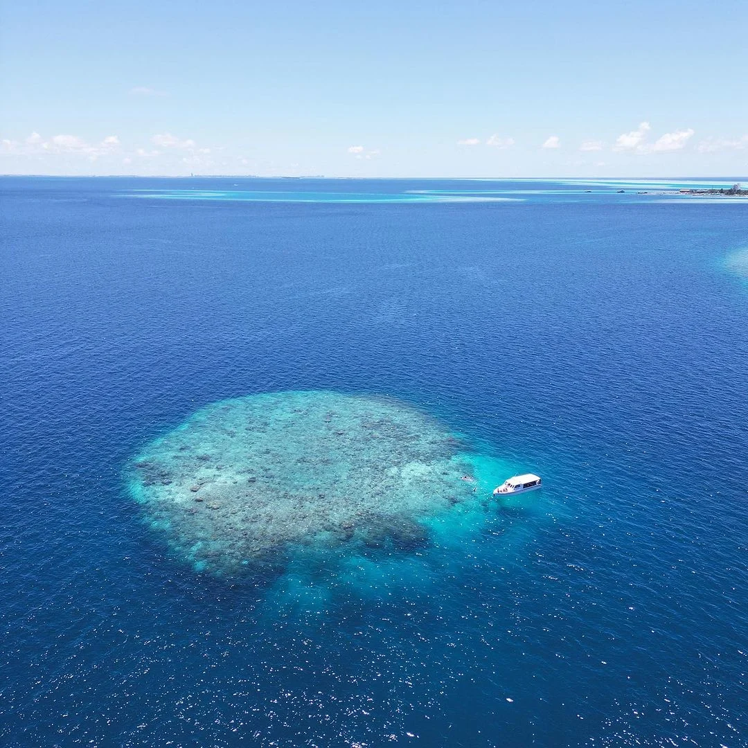 דולב ואביב - Outt.withus מלדיבייים