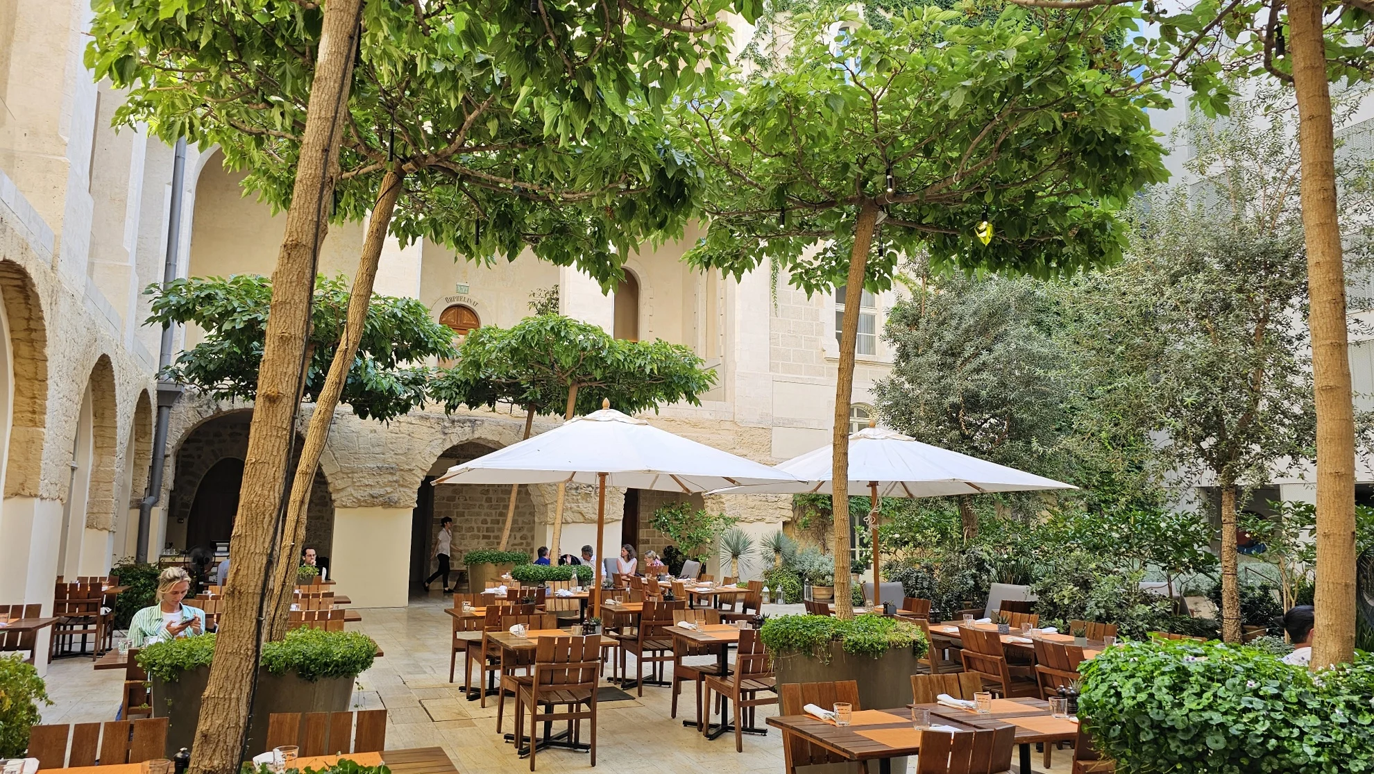 The Jaffa