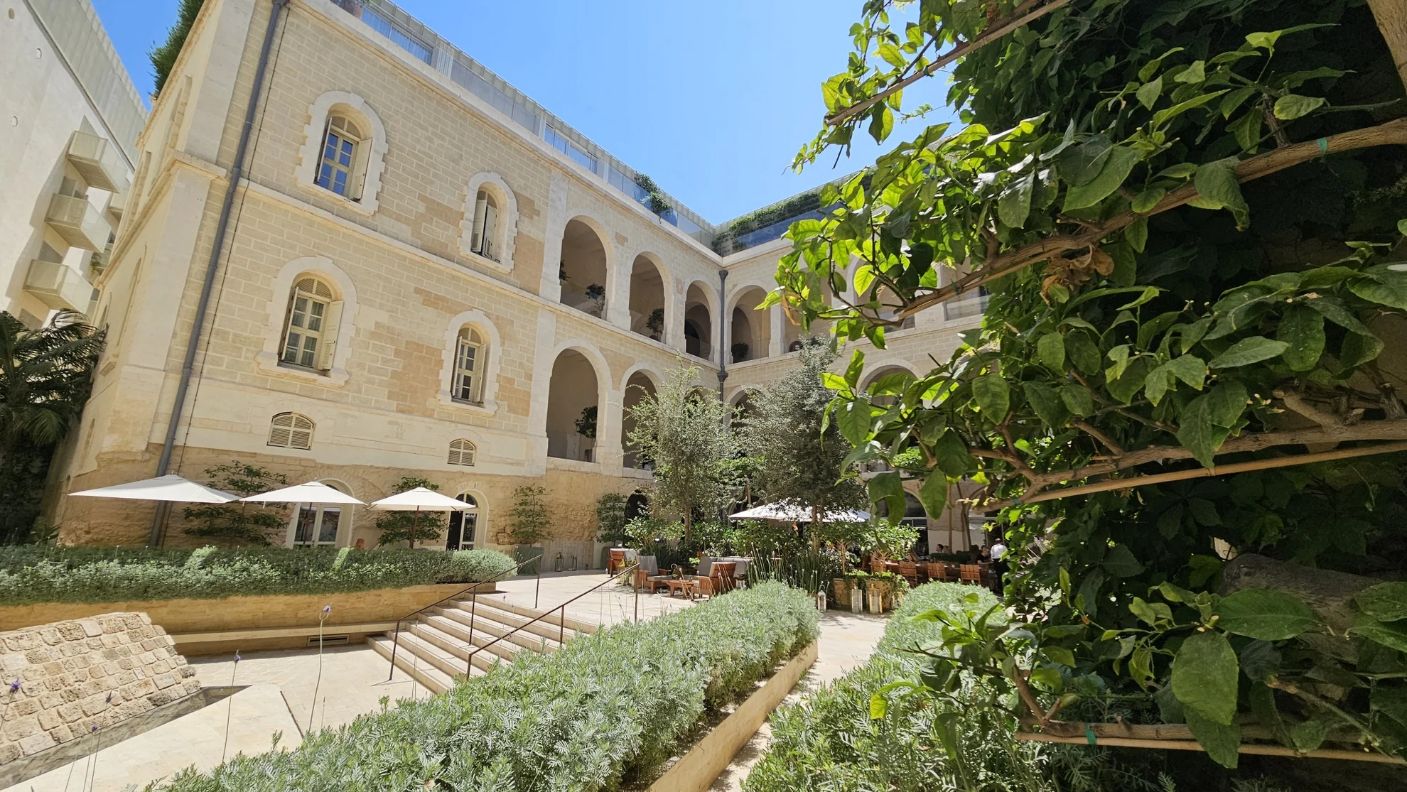 The Jaffa