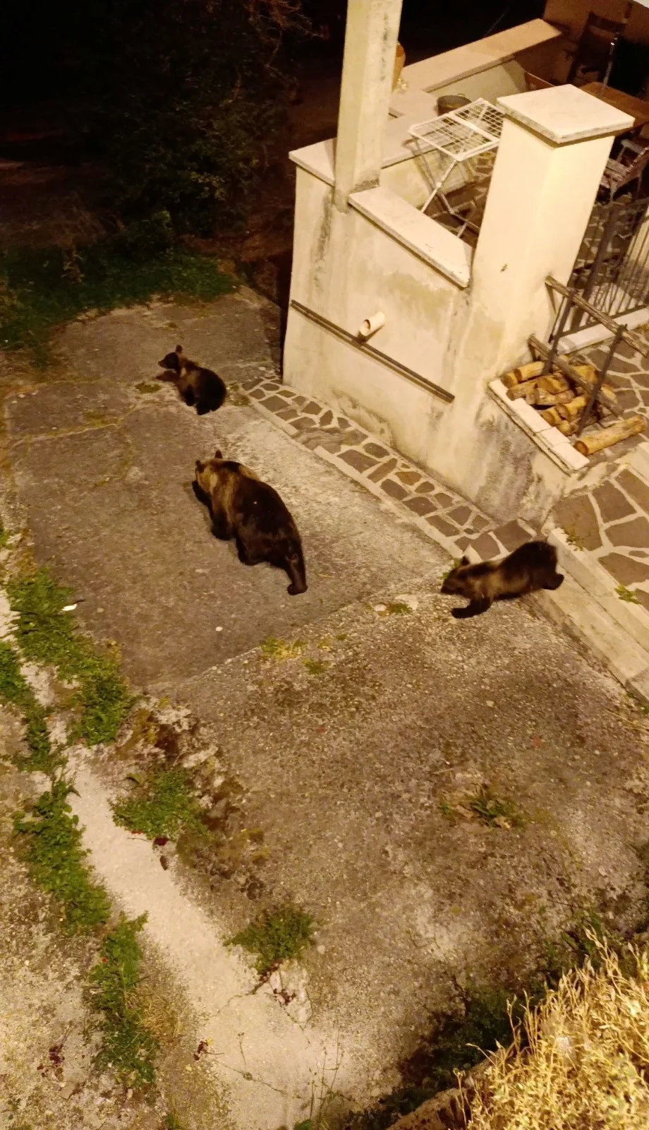 אמרנה עם גוריה