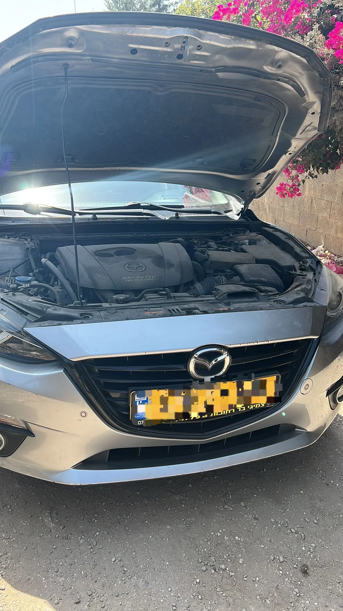 Whatsapp Image 2023 09 03 At 0