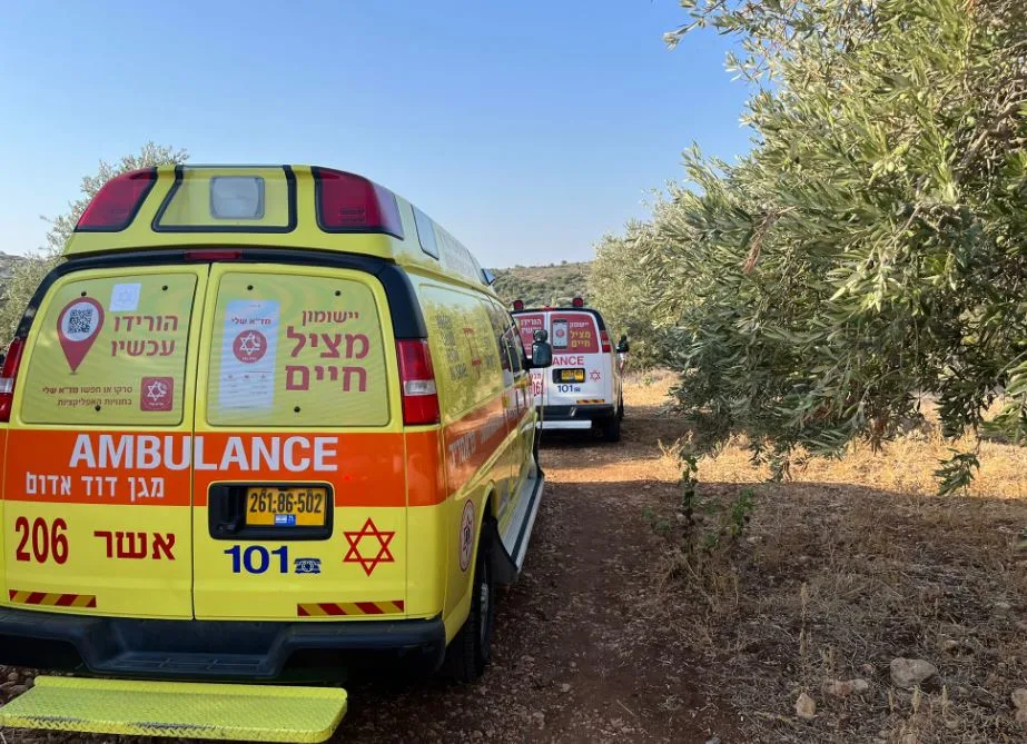 הזירה במטע הזיתים ליד אבו סנאן