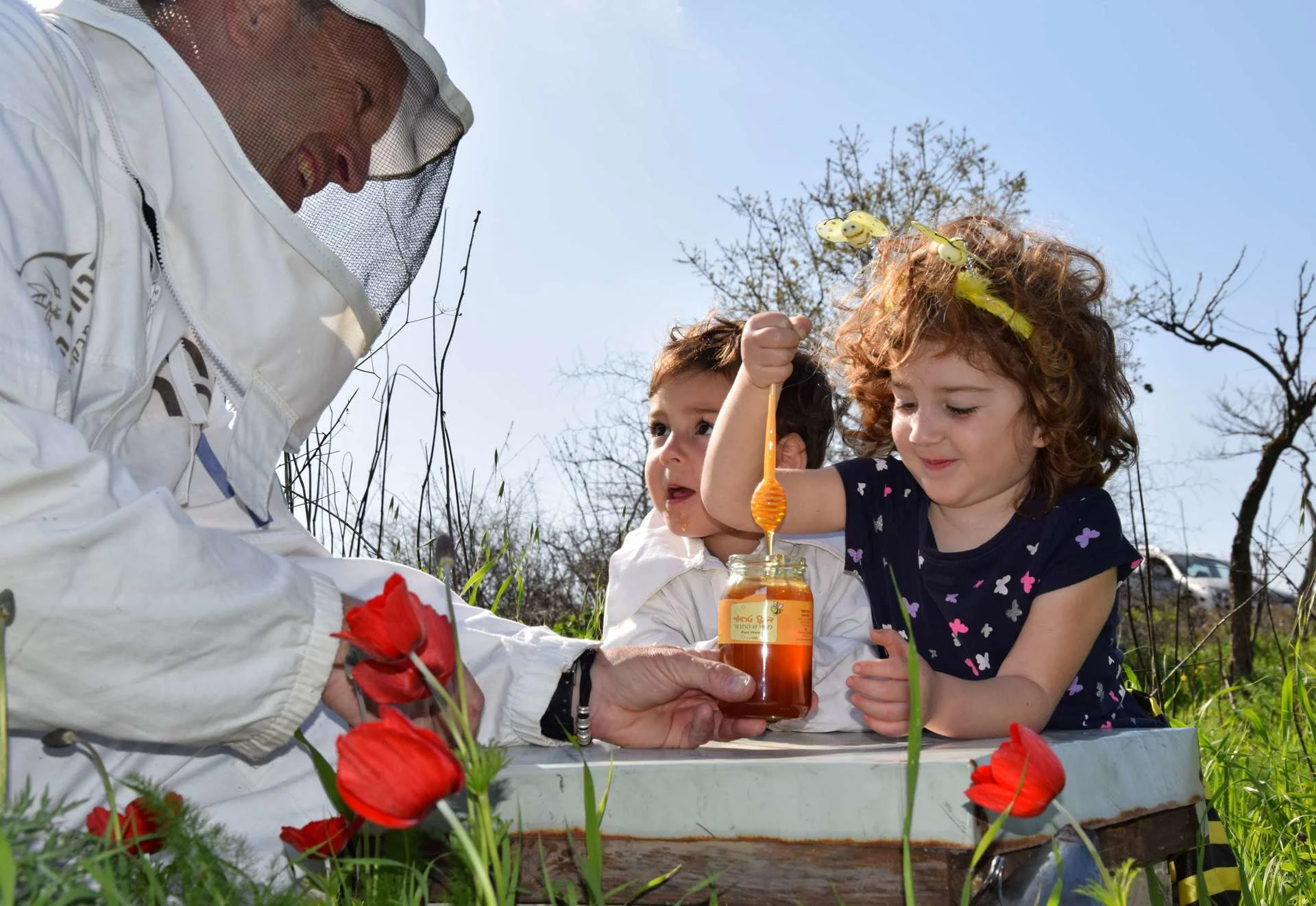 דבורת התבור