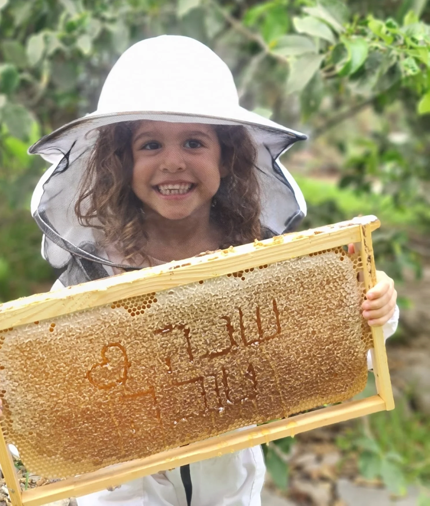 משק דבורים סימון