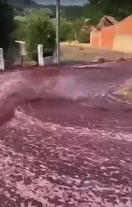 היין שהציף את רחובות העיירה בפורטוגל